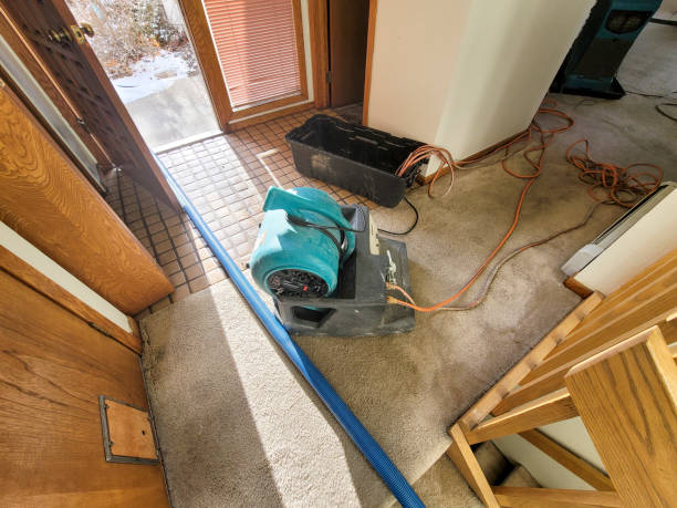 Best Water damage restoration near me  in La Huerta, NM